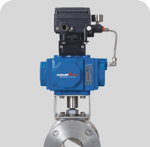 HABONIM Control Valves