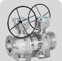 HABONIM Customized Valve and Manifold Solutions